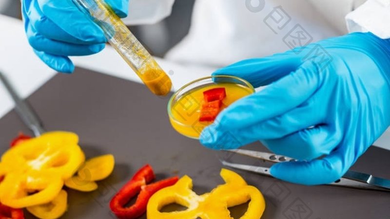 探寻调味料批发市场的秘密——地址背后的故事
